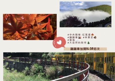 蹦蹦車加開_2025 太平山暑期夏遊